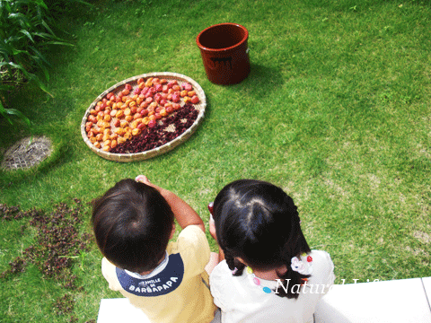 b0162000_4531085.gif