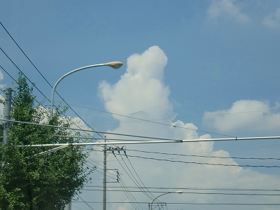 f0193702_17254538.jpg