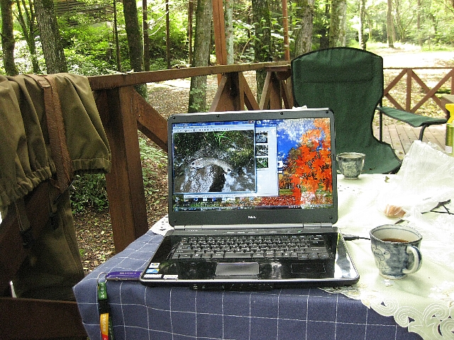a0138609_10212868.jpg
