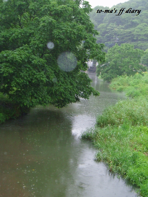 f0137709_22384846.jpg