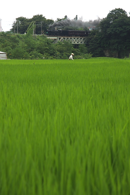 夏の鉄橋 - 2011年盛夏・信越線 -_b0190710_22421627.jpg