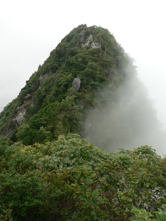 f0219710_82654.jpg