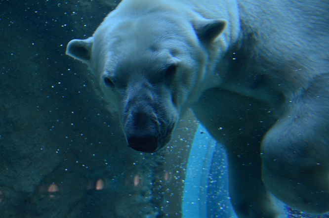 a0151913_17211023.jpg