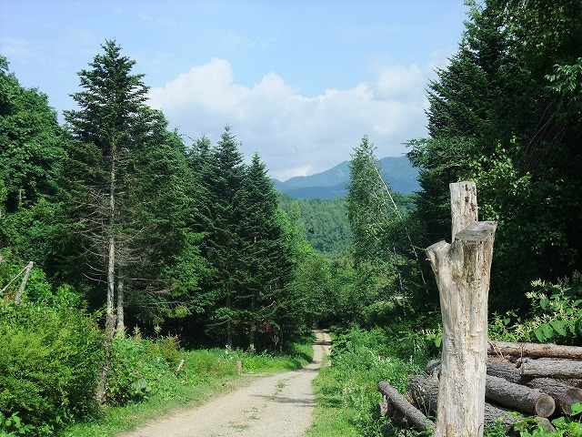 ８月６日（土）　田嶋山林　天候：晴れ　参加：１２名_c0173813_17253854.jpg