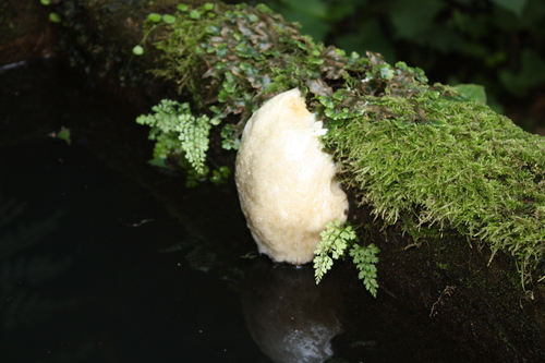 c0167615_2103150.jpg