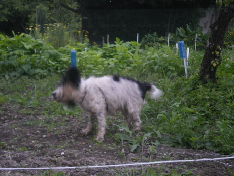 c0124619_143276.jpg