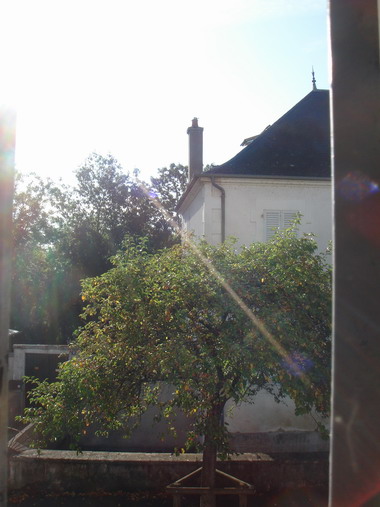 c0124619_217543.jpg