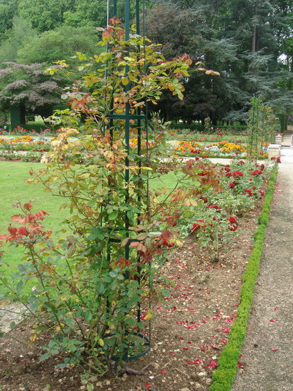 c0124619_221322.jpg