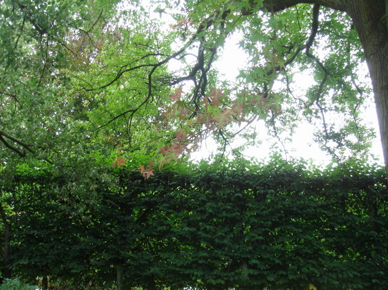 c0124619_2222813.jpg