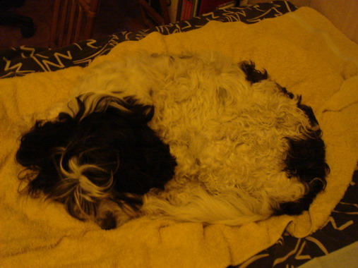 c0124619_2331748.jpg