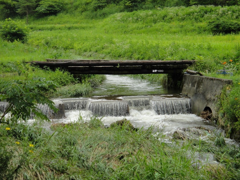 木橋_d0109319_635598.jpg