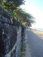 d0049221_14278.jpg
