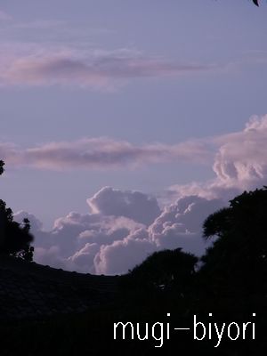 f0214121_8123060.jpg