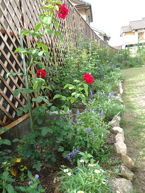 d0096422_8431638.jpg