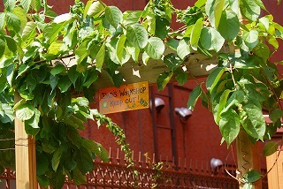 f0170524_20555664.jpg