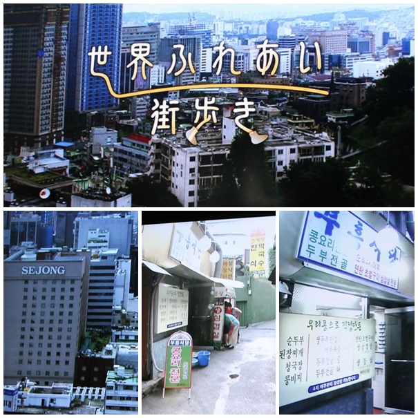 韓国旅行その3 気分は世界ふれあい街歩き 明洞 Melody Fair 韓国旅行その3 気分は世界ふれあい街歩き 明洞 Melody Fair