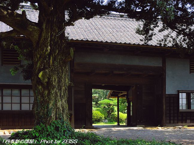 a0195032_2137458.jpg