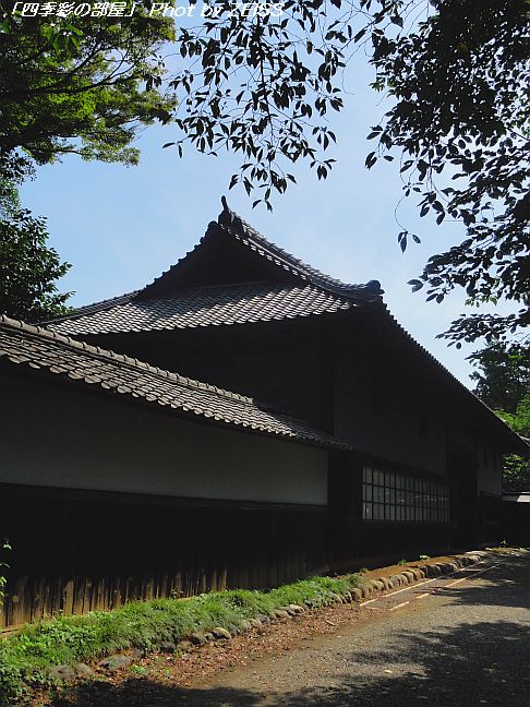 a0195032_2150420.jpg