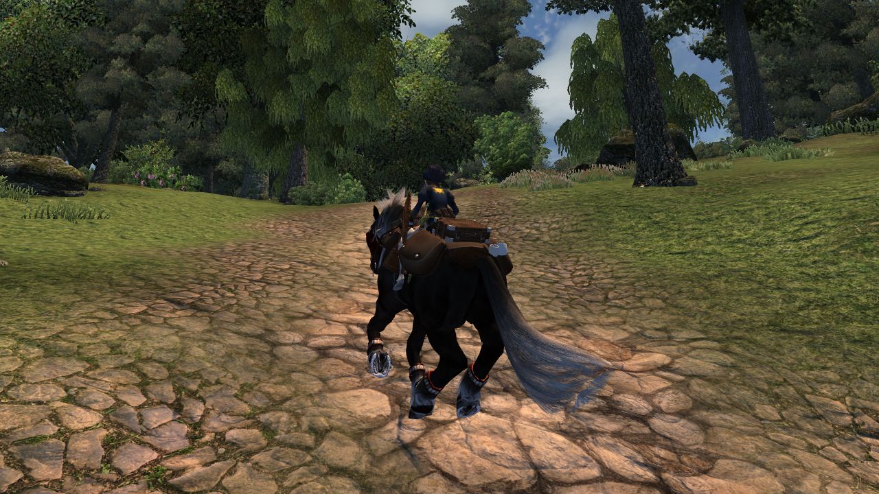 Tes4 Oblivion 戦士ギルド 最終回 ヒスト Monochrome 白と黒の世界 Tes4 Oblivion 戦士ギルド 最終回 ヒスト Monochrome 白と黒の世界