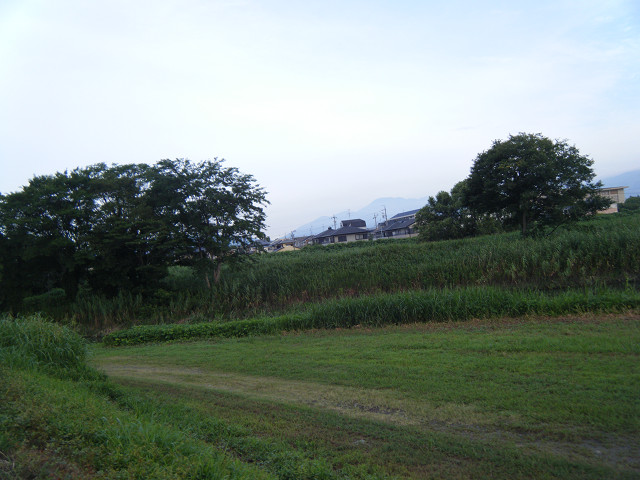b0088444_20382476.jpg
