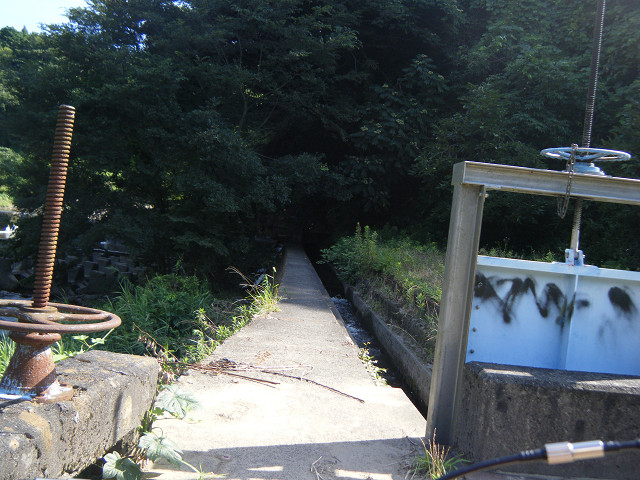 b0088444_2059528.jpg