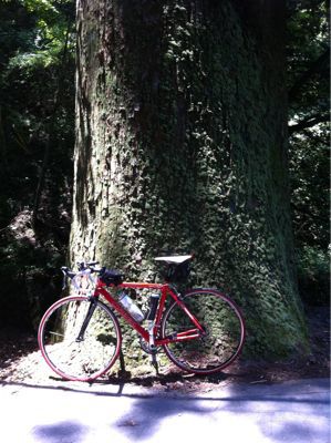 癒しの山…オーラス(笑)_b0136045_19521670.jpg
