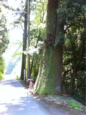 癒しの山…オーラス(笑)_b0136045_1952858.jpg