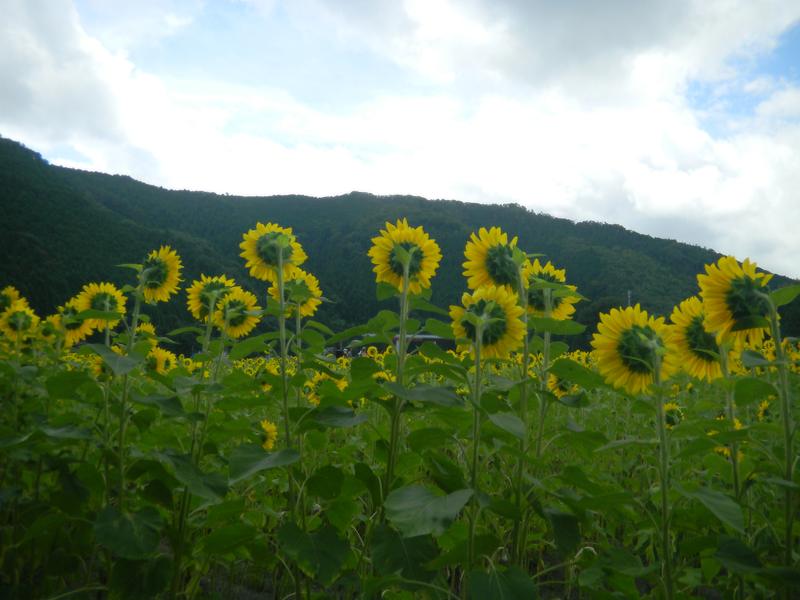 a0170146_19283419.jpg