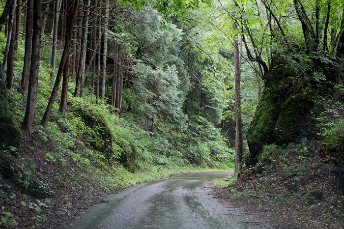 信州(温泉ツー)　その6_b0168647_2250038.jpg