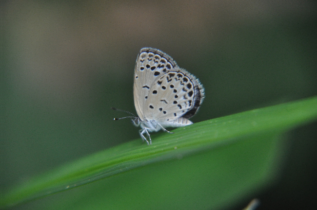 e0194952_85123.jpg
