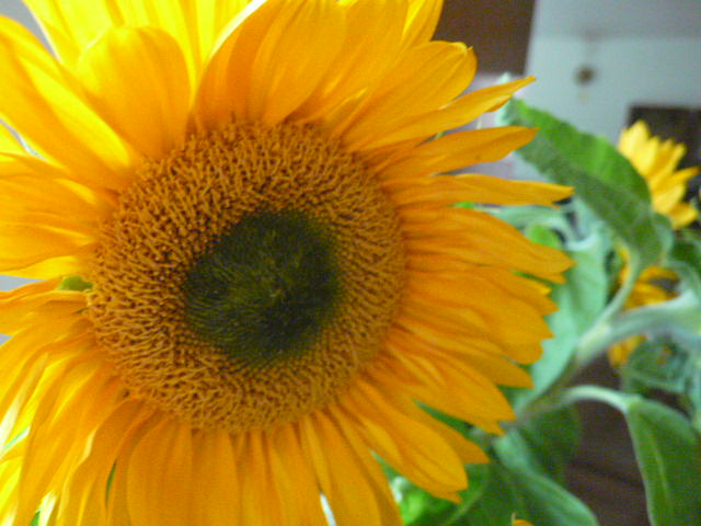 b0109054_5271410.jpg