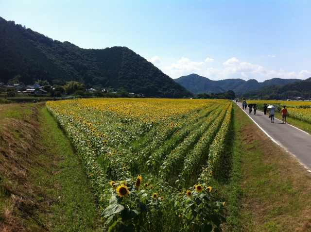 c0105957_30159.jpg