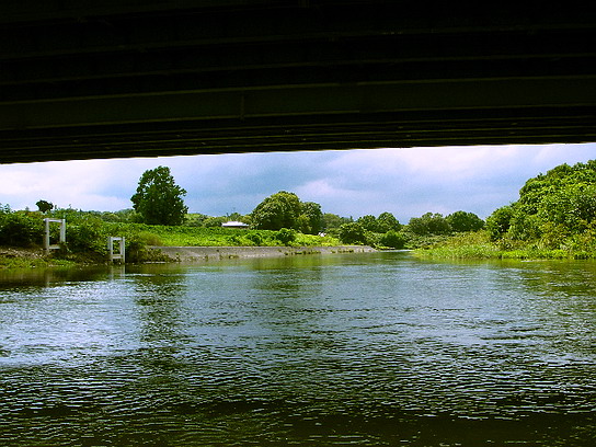 f0084561_1422510.jpg