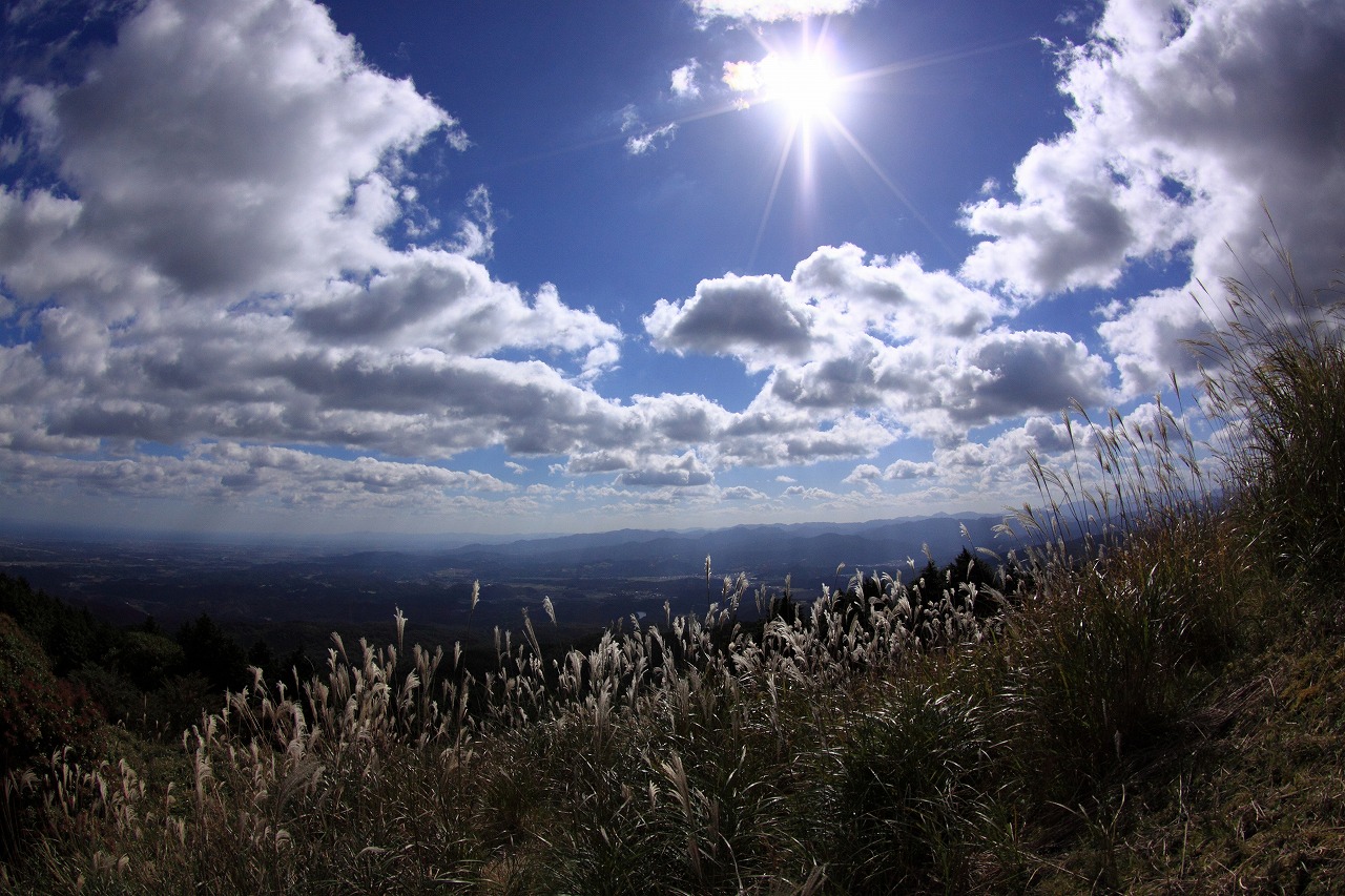 f0234862_16265244.jpg