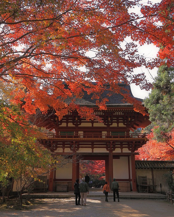 室生寺の紅葉_f0234862_18284232.jpg