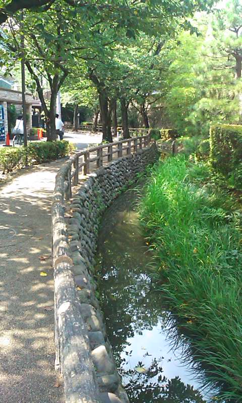 d0158464_18456.jpg