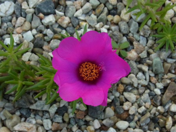 b0194267_20233121.jpg
