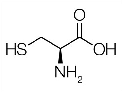 人間と環境への低レベル放射能の脅威 2 + (食事的)防御法のいくつか_c0139575_1075254.jpg