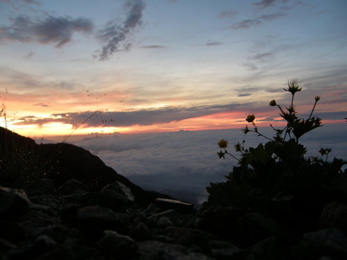 e0232277_144575.jpg
