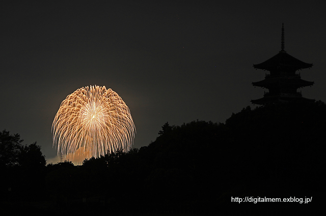 備中国分寺からの花火　_c0083985_22382844.jpg