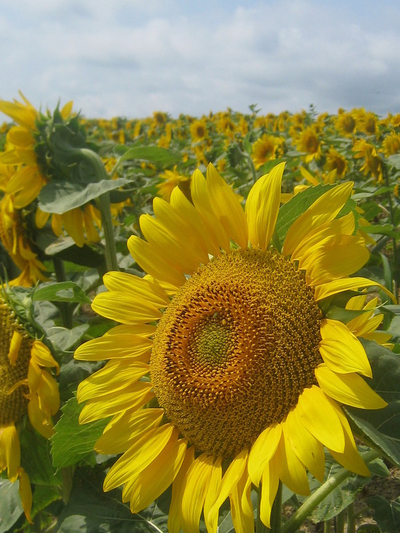 f0236391_1510322.jpg
