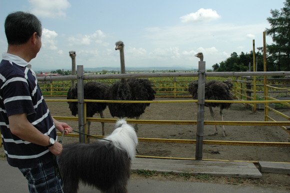 f0236391_1512123.jpg