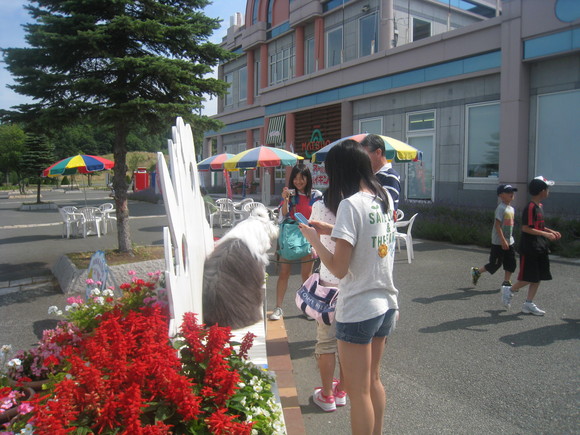 f0236391_1512593.jpg