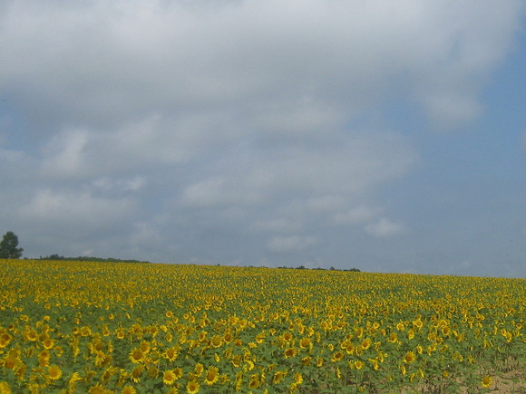 f0236391_1592110.jpg