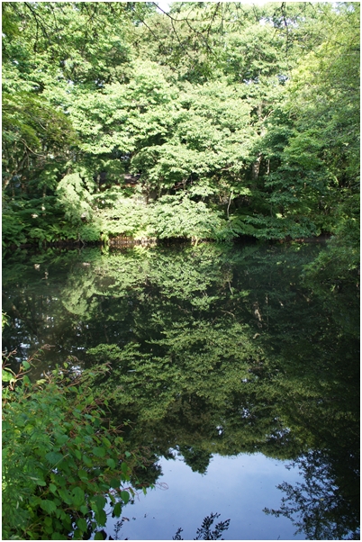 雲場池に感動♪_f0224192_15054100.jpg