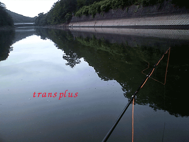 b0031493_2324201.gif