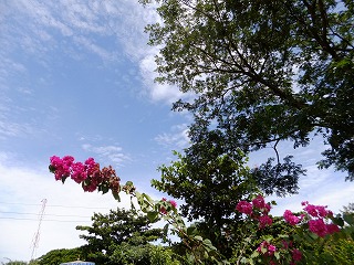 b0229505_2146119.jpg