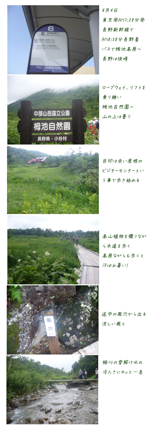 栂池自然園と八方尾根へ(1)_c0051105_2244914.jpg