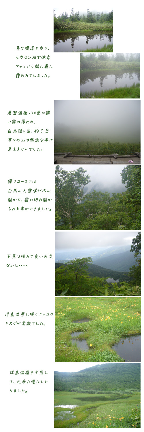 栂池自然園と八方尾根へ(1)_c0051105_2252866.jpg