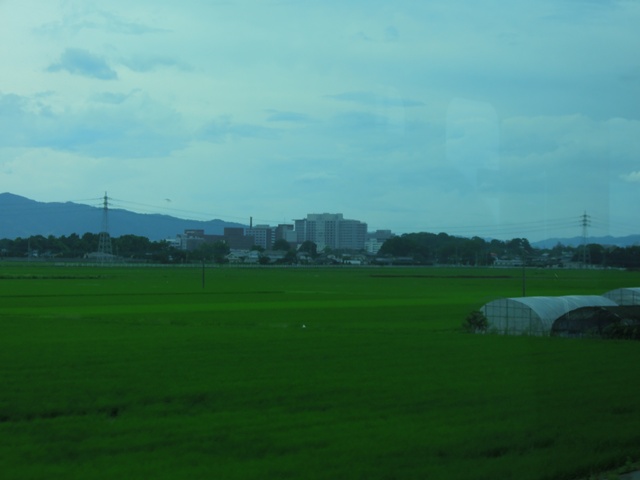 f0170305_17304594.jpg